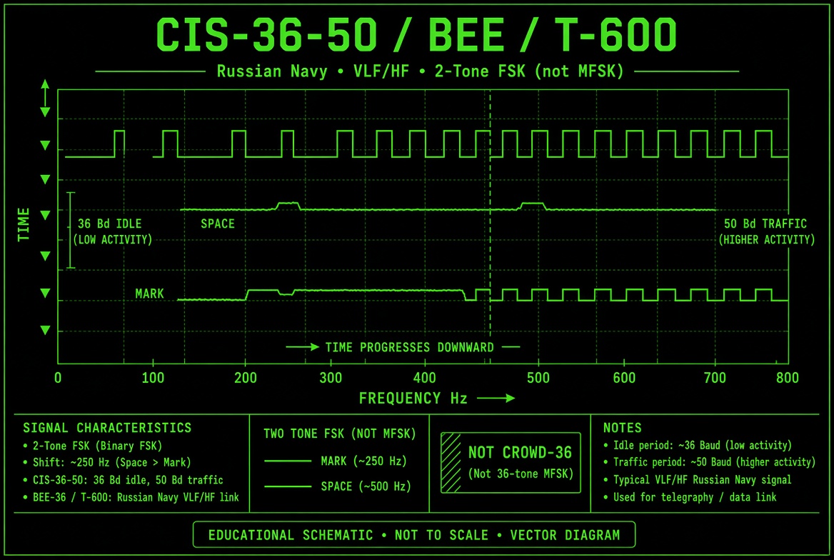 CIS-36-50 BEE / T-600